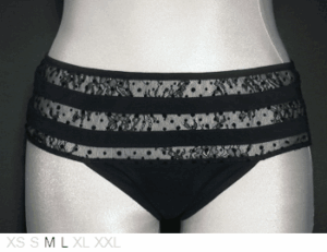 Addiction Lingerie Sheer and lace hipster