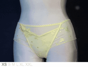 Antinea Sheer and lace cheeky