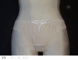 Antinea Sheer and lace bikini