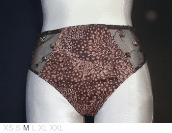 Antinea Poly brief with lace sides