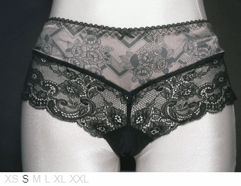 Aubade Poly and leavers lace shorty