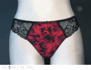 Aubade Delicate poly and lace bikini