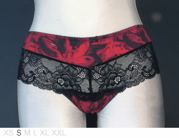 Aubade Delicate poly and lace shorty