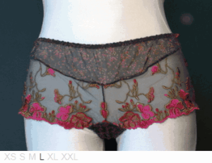 Aubade Sheer and lace knicker