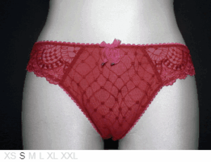 Aubade Sheer and lace bikini