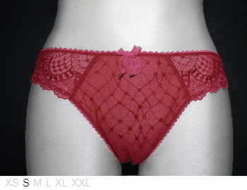 Aubade Sheer and lace bikini