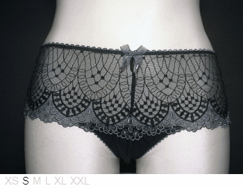 Aubade Sheer and lace French knicker