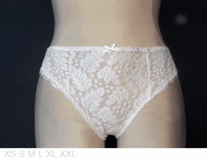 Barbara Poly brief with lace front