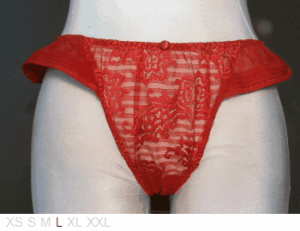 Barbara Sheer and lace, wide side thong