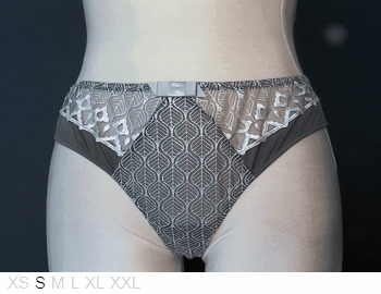Barbara Sheer, lace, and poly tanga