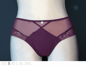 Barbara Sheer and dentelle lace shorty