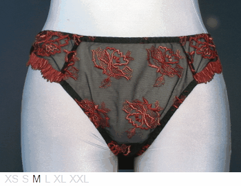Barbara Sheer and lace front, solid back bikini