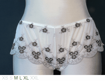 Blush Antique sheer and lace hipster