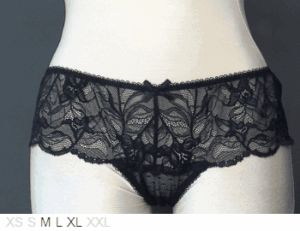 Blush Luscious Sheer and Lace hipster