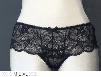 Blush Luscious Sheer and Lace hipster