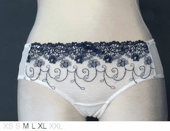 Blush Idylle Sheer and Lace Hipster