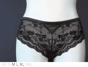 Blush Illicit sheer and lace hipster