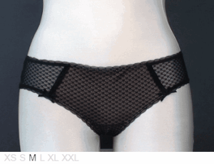B.Tempt'd Dual layer, soft sheer and lace hipster