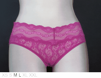 B.Tempt'd Sheer and lace hipster