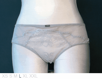 Calvin Klein Sheer and lace hipster