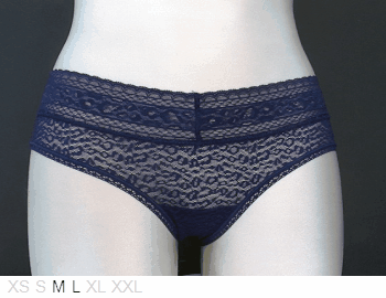 Calvin Klein Sheer and lace hipster