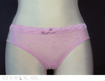 Carnival Sheer and lace bikini