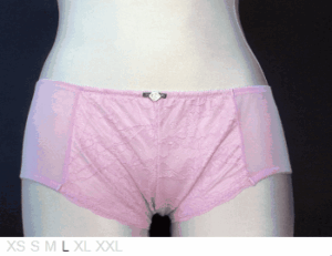 Carrie Amber Rosa lace microfiber/lace boyshort