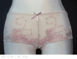 Carrie Amber Annabelle embroidered boyleg panty