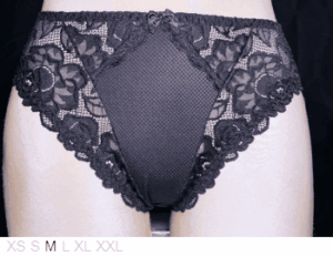 Change Florence poly and lace brief