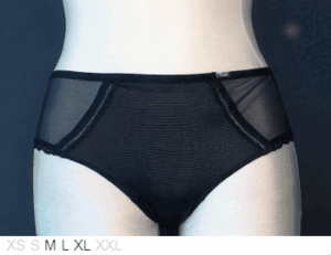 Chantelle Soft poly and sheer brief