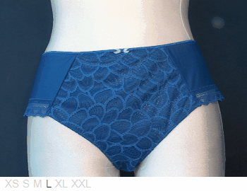 Chantelle Soft poly and lace hipster