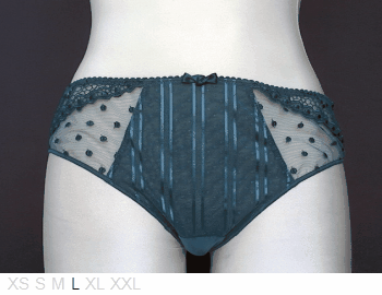 Chantelle Soft poly and lace brief