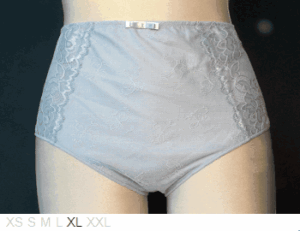 Chantelle High waist poly and lace brief