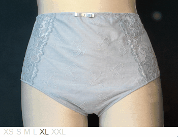 Chantelle High waist poly and lace brief