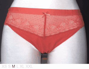 Chantelle Sheer and lace bikini