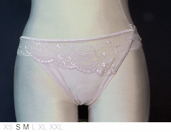 Chantelle Sheer and lace bikini