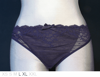 Chantelle Beautiful poly and lace bikini
