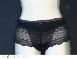 Chantelle Super soft sheer and lace cheeky