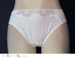 Chantelle Silky poly and lace bikini