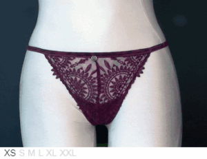 Chantelle Sheer and lace thong