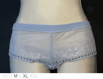 Chantelle Sheer and lace boy thong
