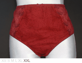 Chantelle High waist full brief