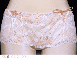 Charade Cassandra sheer and lace hipster