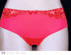 Charade Dual layer sheer & lace hipster