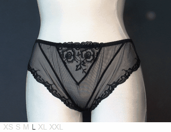 Corin Lilliana Brief