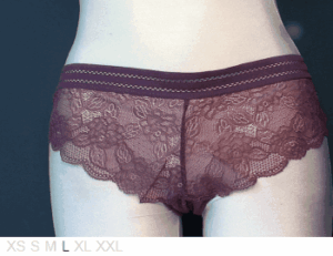Danskin Sheer and lace Italian bikini