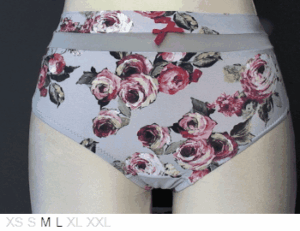Elegance High waist microfiber brief thong