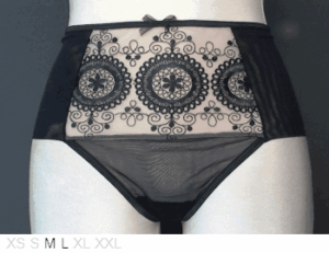 Elegance Emboidered dual-layer tulle brief