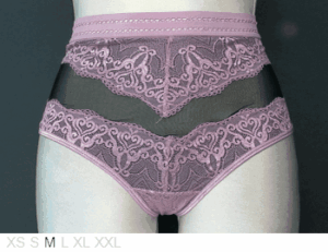 Elegance High waist brief in tulle and lace