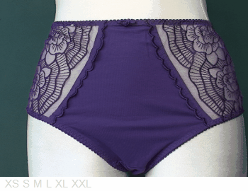 Elixir 66% poly/cotton brief with lace